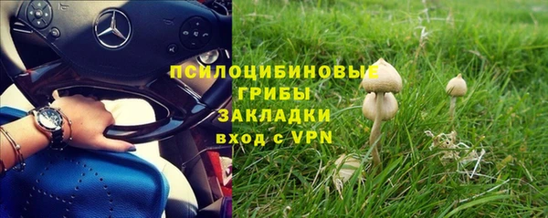 ПСИЛОЦИБИНОВЫЕ ГРИБЫ Аркадак