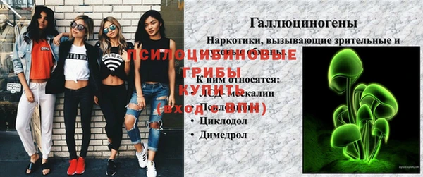 ПСИЛОЦИБИНОВЫЕ ГРИБЫ Аркадак